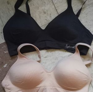New Splendid bras